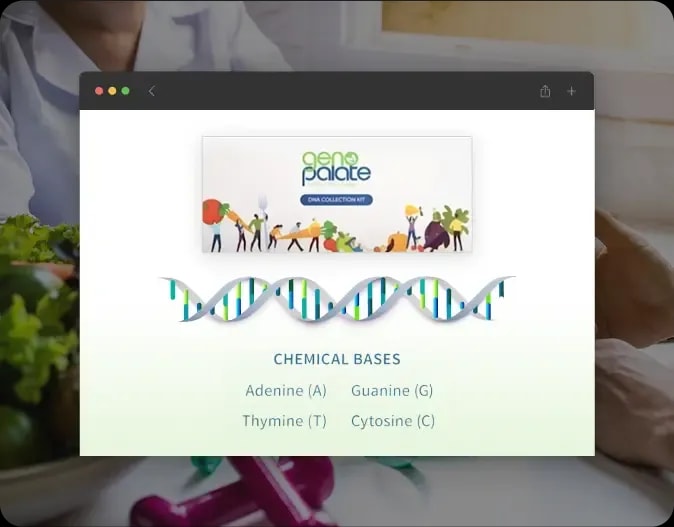 Claude-Powered Lab Report Processing for Personalized Nutrition